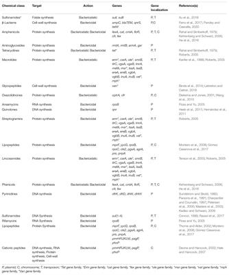 Metagenomic Approaches to Analyze Antimicrobial Resistance: An Overview